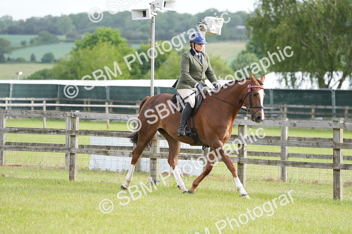 SBM_10566 - Class 97-98 - LIHS BSHA Rising Star Working Show Horse Hunter