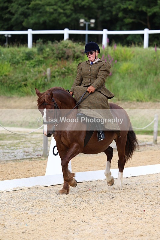 3E7A1643 - Class 2: Intro 2 2024 Section B