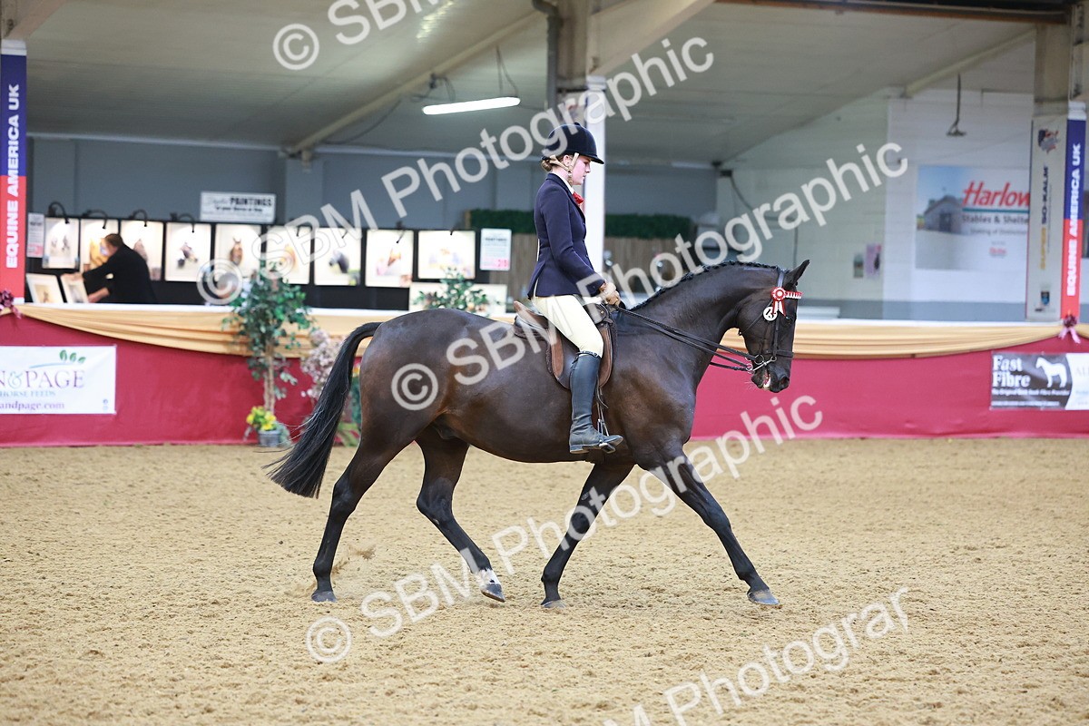 SBM_10663 - Class 103 - HOYS Veteran Qualifier - Ridden Pre Vet
