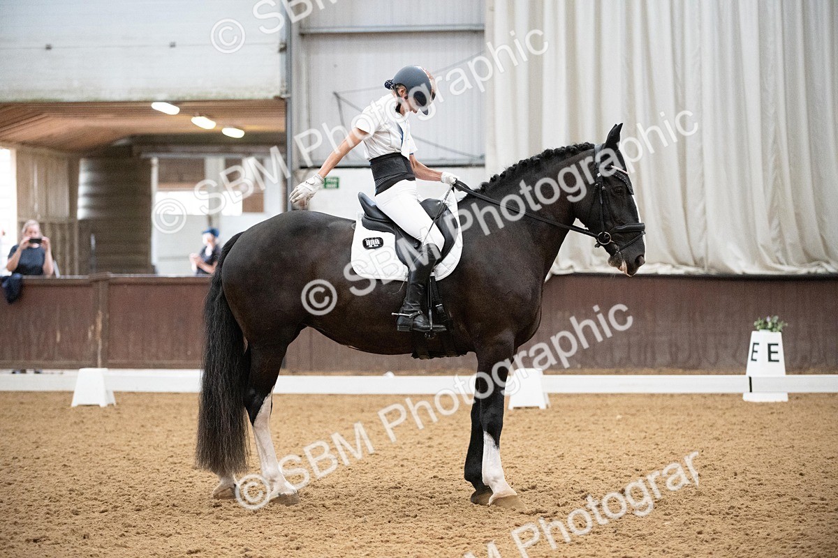 DSC_1003 - Class 2 - P4 (Now online)