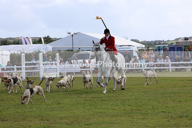 3E7A3402 - Parade of Hounds