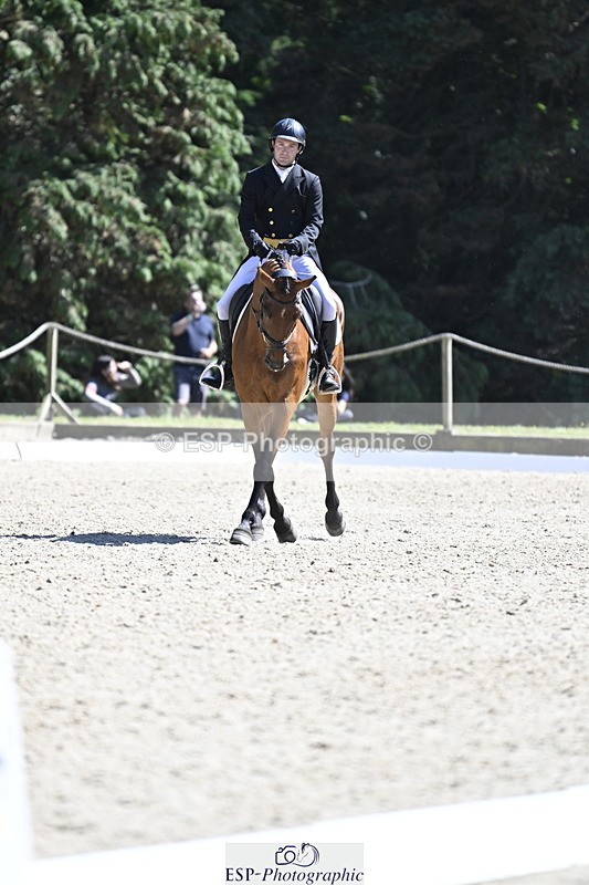 250522A-150817-03792 - D-414-Rupert.Batting-COOMBELAND.SEMILLY