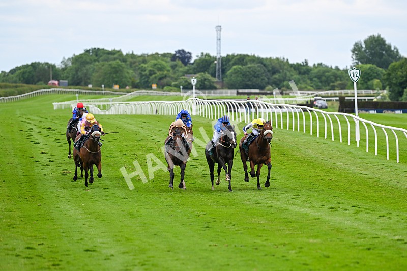 180624-Race 4-Animate-0409 - Race 4