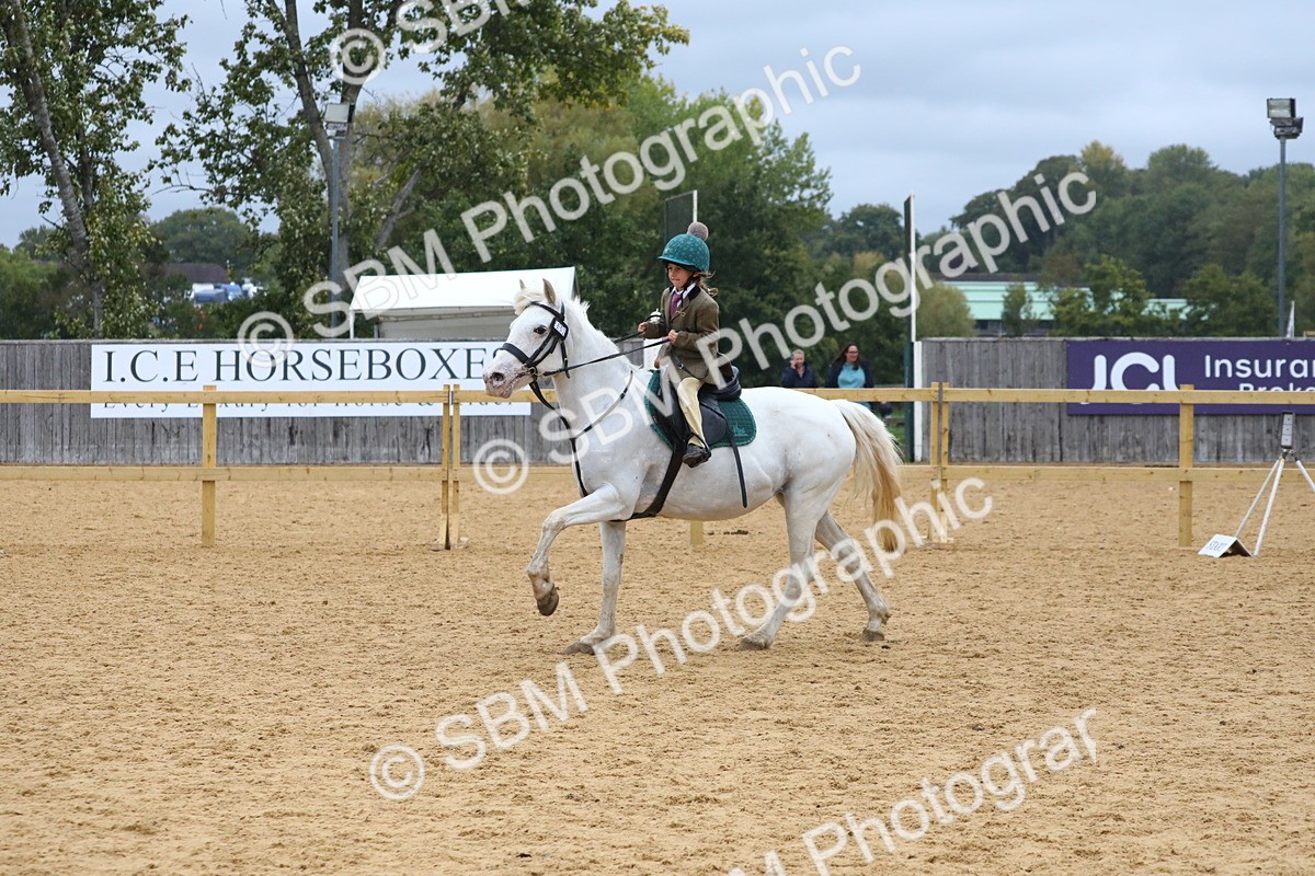 SBM_71981 - J3b - Mini Tour Junior Pony 40cm Championship