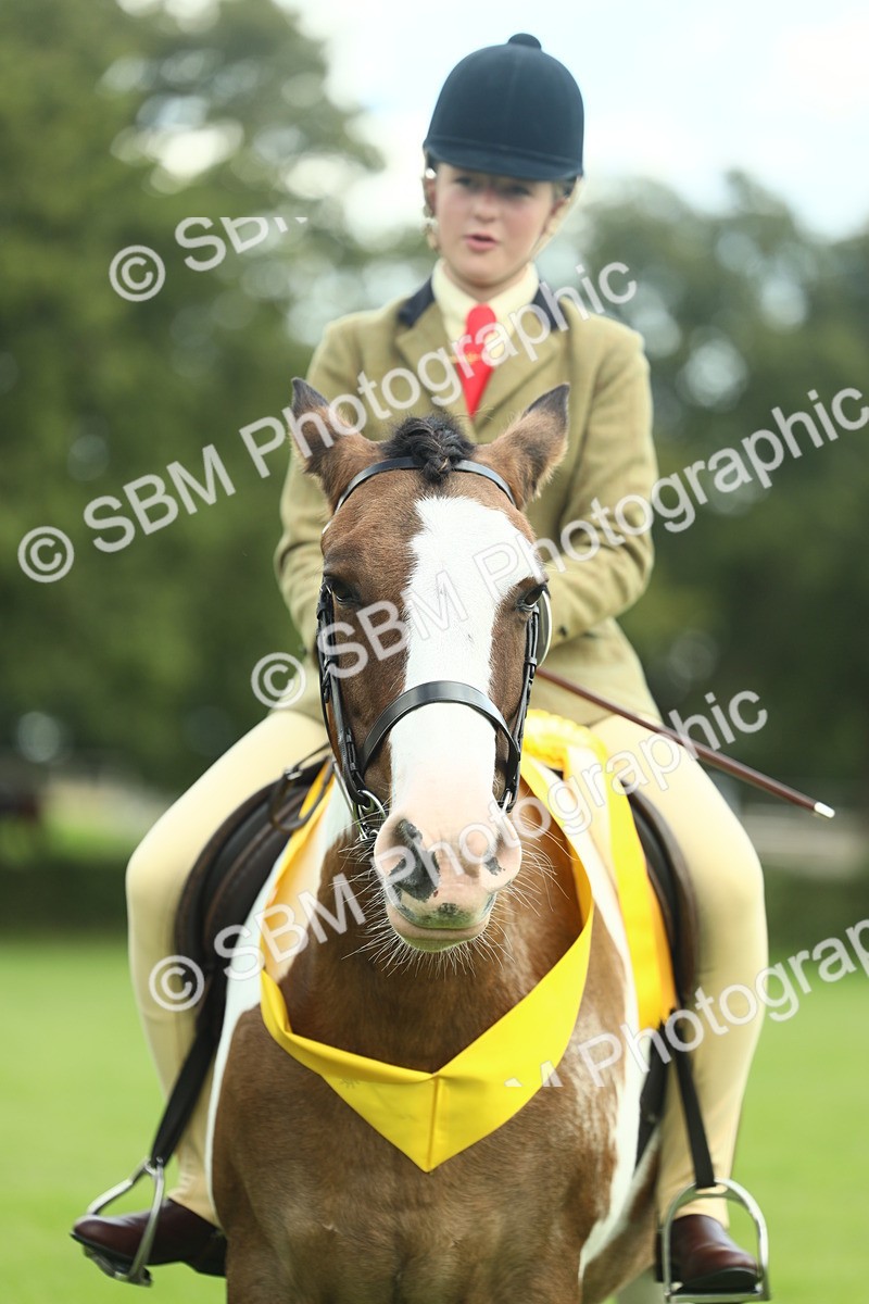 SBM_42178 - S29 - Novice & Newcomers Working Hunter Pony