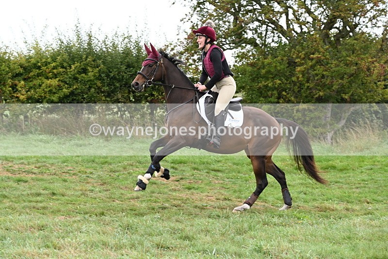 WJ6_1363 - Time 10:05 to 10:30  (3 cameras)