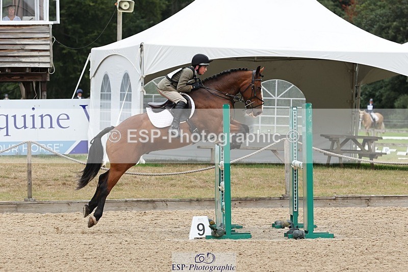 250803A-101702-09819 - L-509-Thomas.Harris-THE.CHAIRMAN