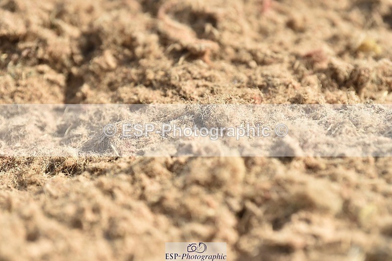 250622-090214-12718 - Quest Cls 19-24 Intro Tests