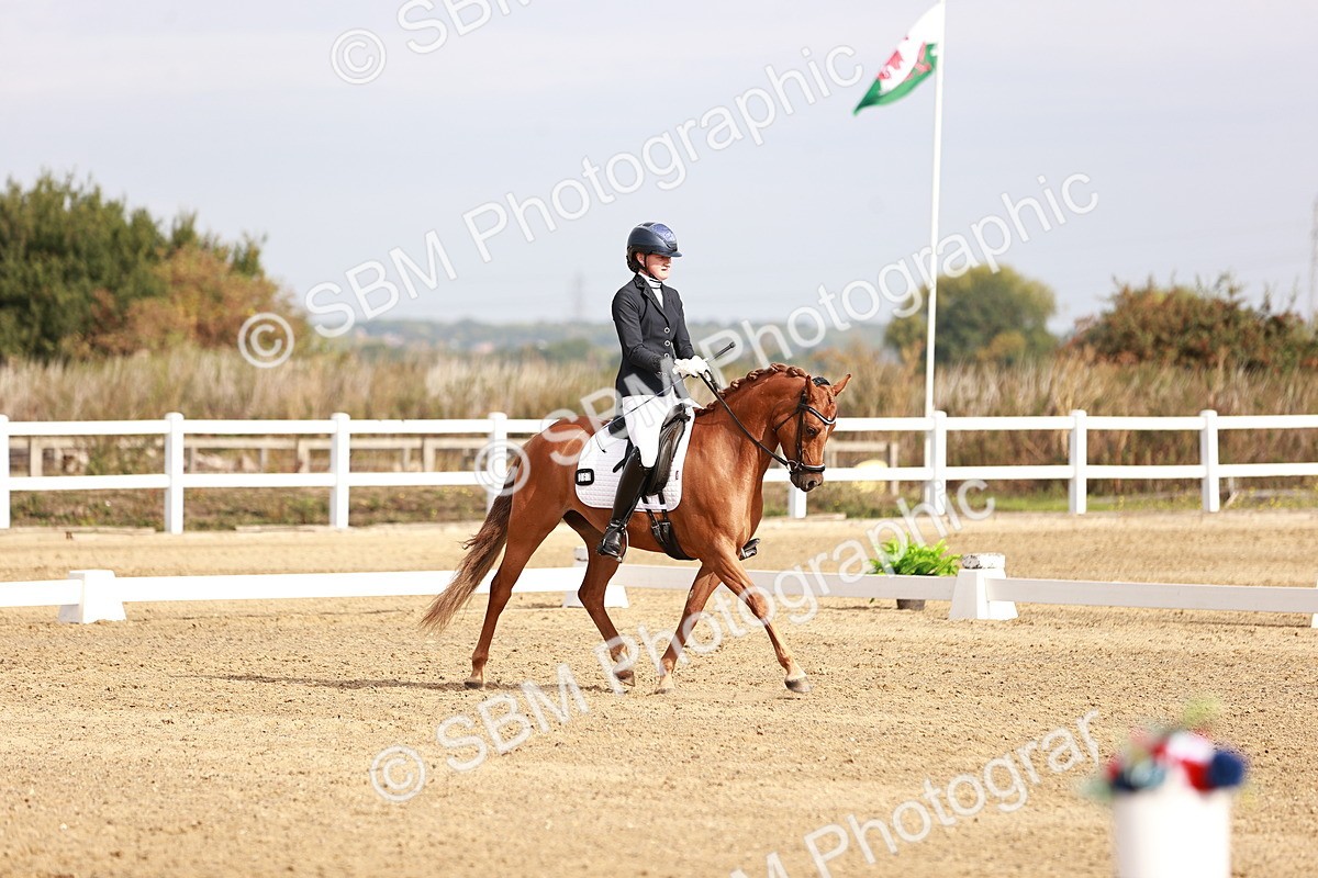 SBM_016906 - Class 10 - Medium 6