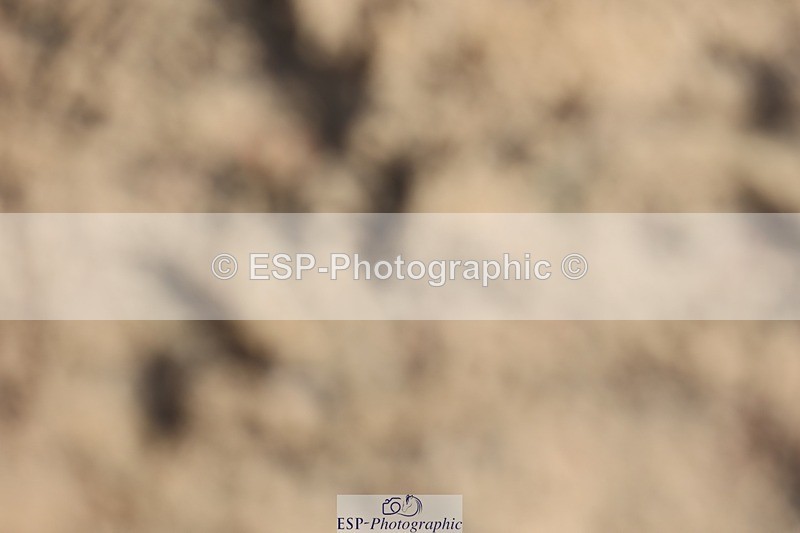 250629-174922-13770 - Cls 30 138cm HOYS Qualifier