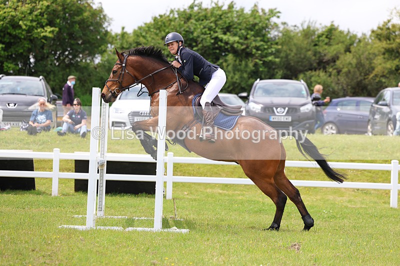 3E7A7284 - Class 13: Senior British Novice/90cm open