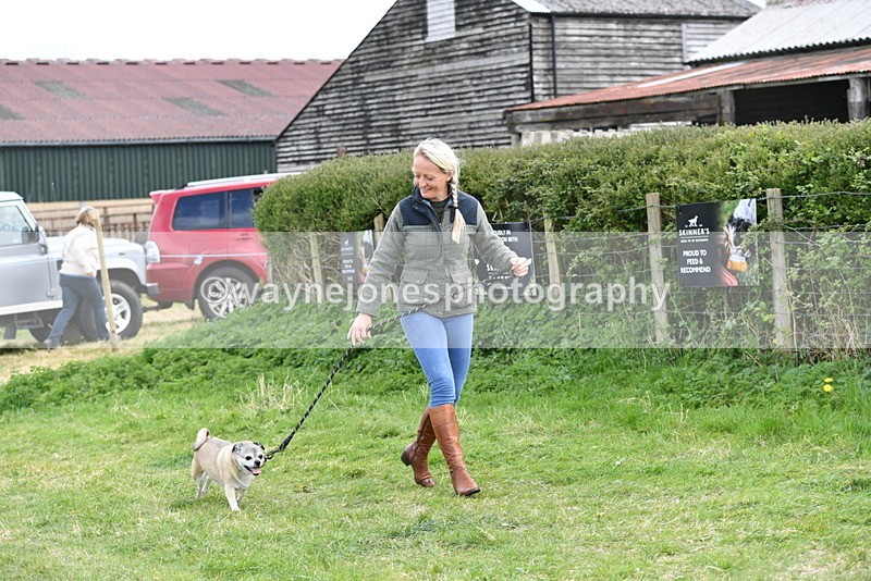 WJ5_0088 - Class 5 Best Veteran / 7 years & over