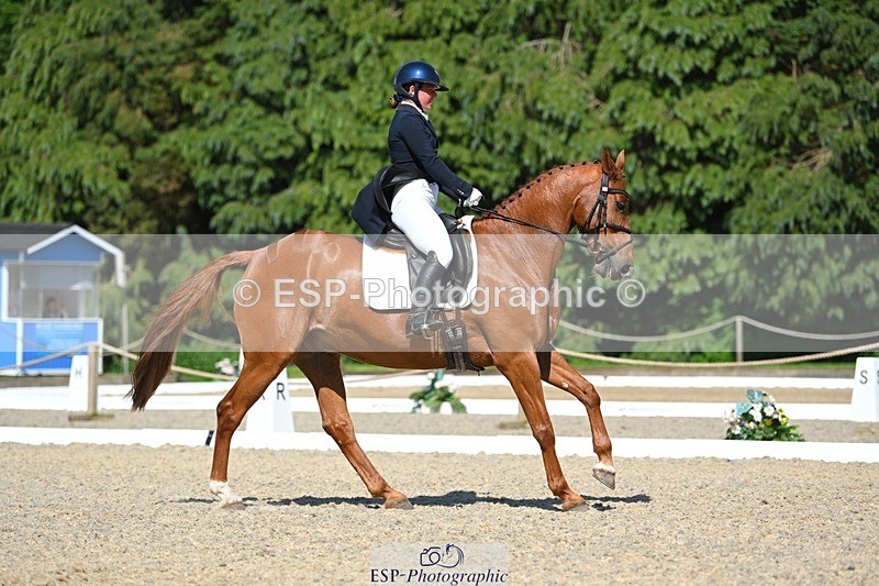 230526-155408-07207 - 251-CLASS_MOVE-Ellie_Healy-WEDTrotUp+DR