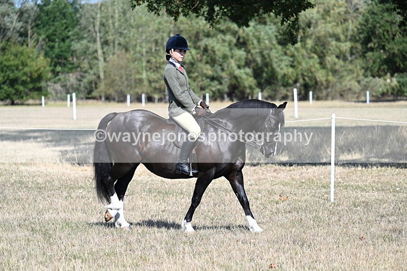 WJ7_3448 - Class 9 Mountain & Moorland Ridden