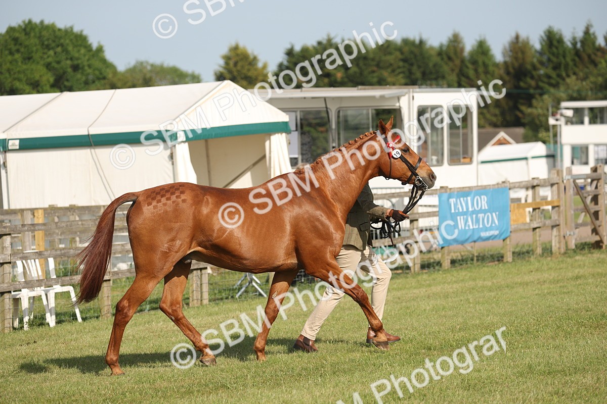 SBM_10454 - Class 33-38 - SSADL RIHS Qualifiers