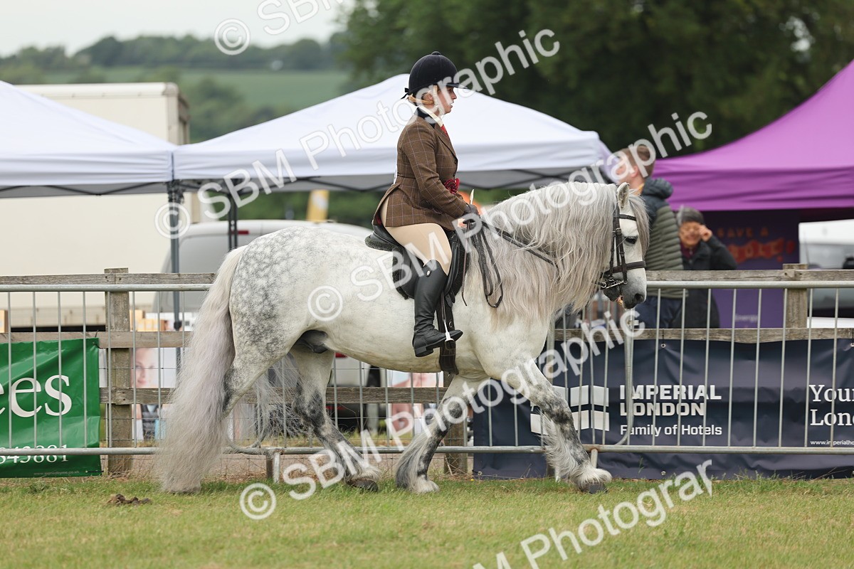 SBM_09096 - Class 78-80 - Ridden M&M Non Welsh Ponies
