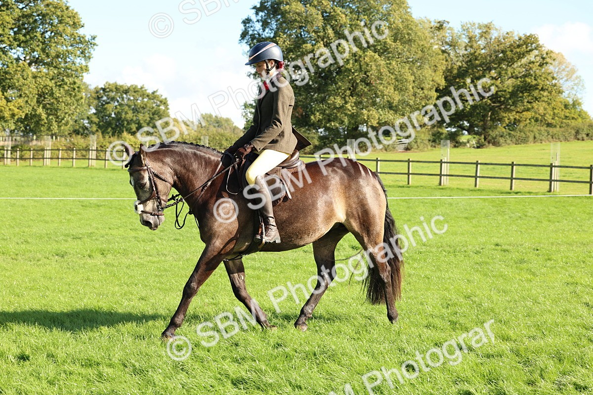 SBM_50106 - S34 - Novice & Newcomers Working Hunter