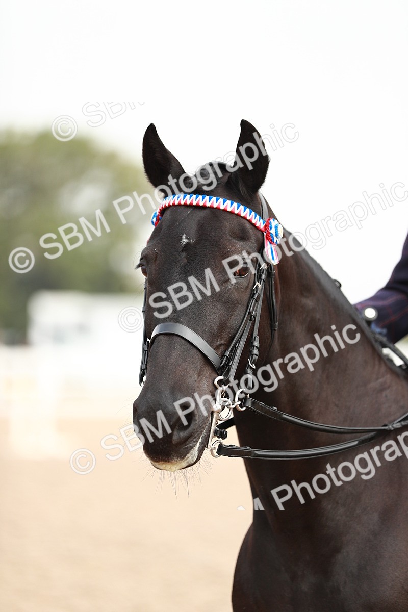 SBM_09427 - Class 202 Best Turned Out Ridden