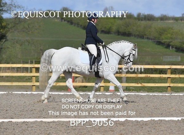 BPP_9056 - ELEM 1/2