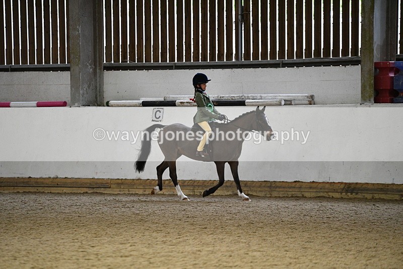 WJ5_7406 - Class 11 Ridden PC - RC Pony