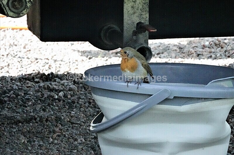 DSC07839 - SEPT 2020 STAYCATION