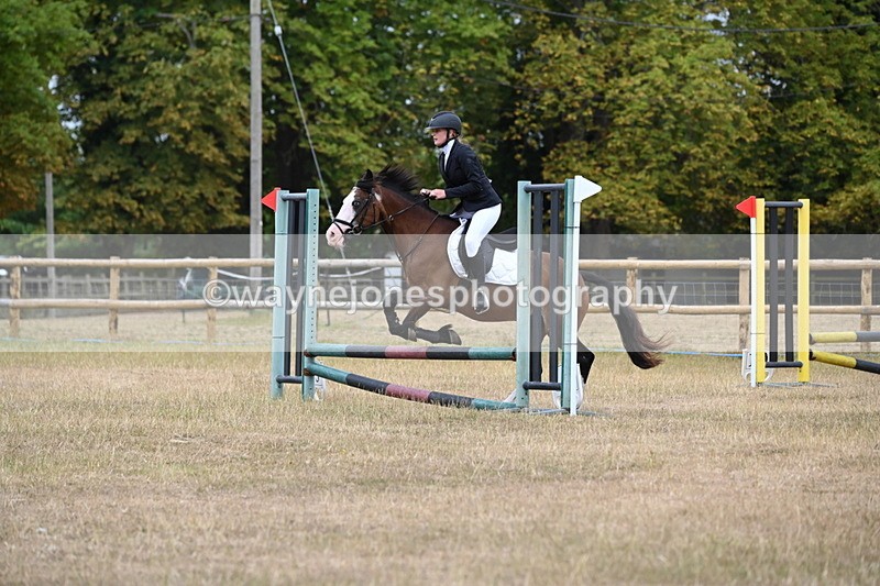 WJ6_0232 - Class 13 Novice Jumping 60cm