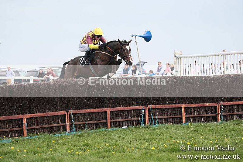PtP 210418 191 - South & West Wilts Point-to-Point Larkhill 21/04/18