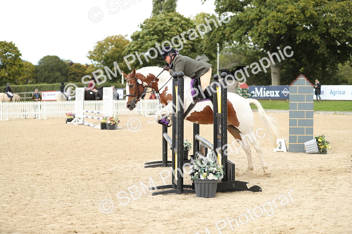 SBM_09883 - J36 - Veteran Rider 70cm