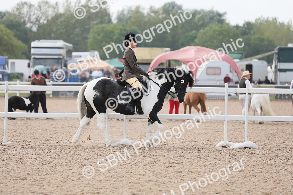 SBM_12648 - Class 307 Ridden Coloured Pony