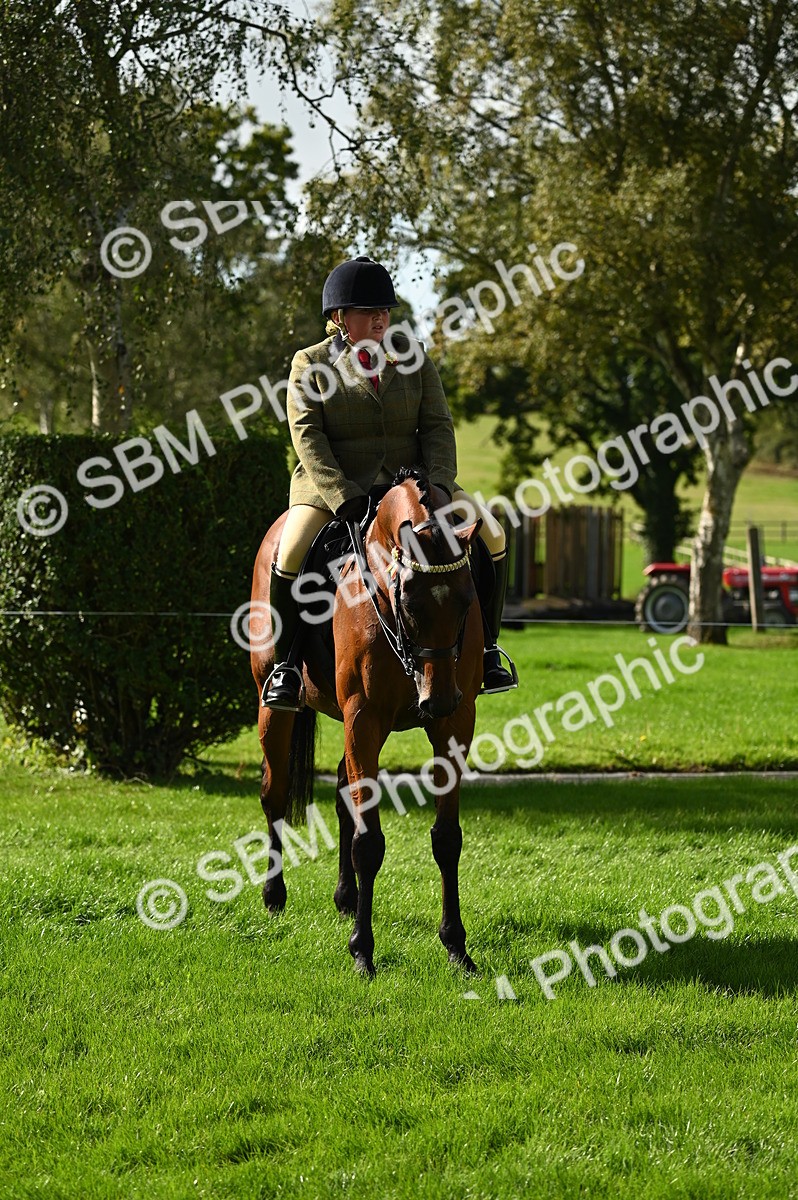 SBM_01635 - S2 - TSR Ridden Horse Showing