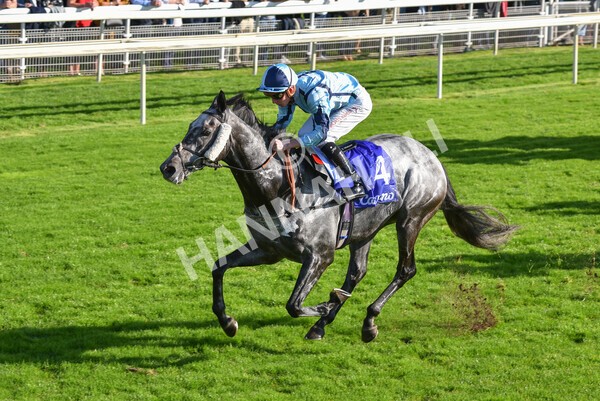 yr08102021r3-33 - Race 3 3.15pm Download The Casumo App Today Handicap