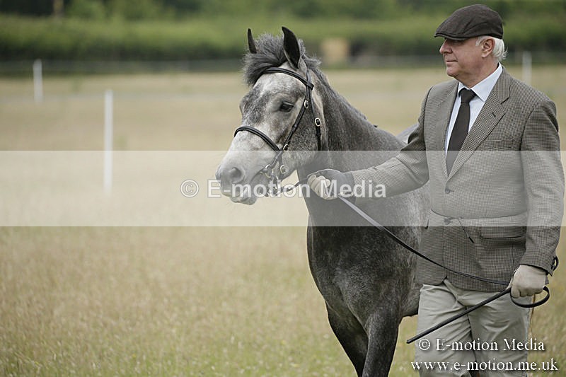 B230619-0031 - Bourne Valley Riding Club Summer Show 23/06/19