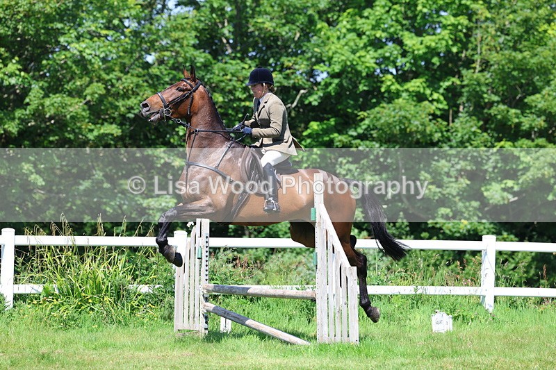 3E7A7074 - Class 30: Novice Working Hunter