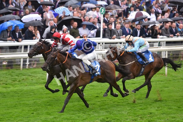 yr21082021r6-33 - Race 6 4.45pm Sky Bet Stakes