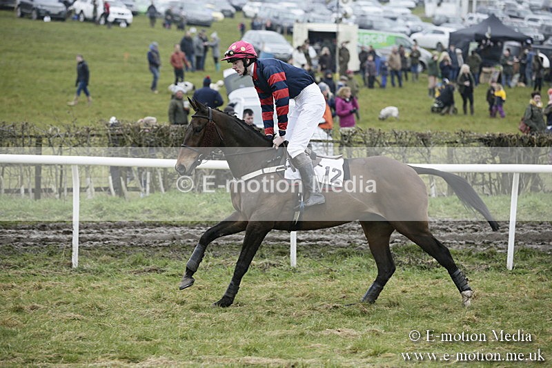 PtP 020418 -89 - Old Berks Point-to-Point Races Easter Monday 02/04/18