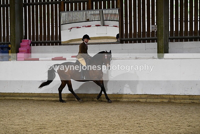 WJ5_8850 - Class 15 Ridden Show Horse