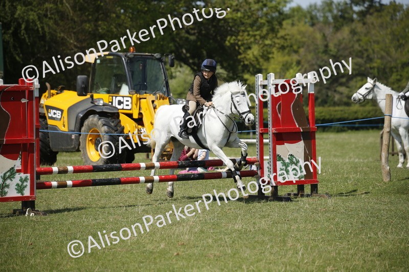 20250427-2335 - Class 13 - Novice Jumping 60cm