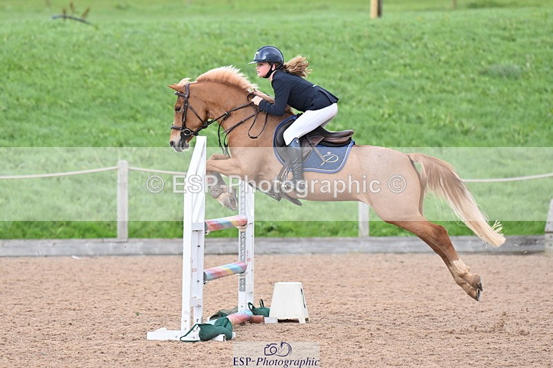 231029A-135446-03623 - Springboard 128cm & 138cm