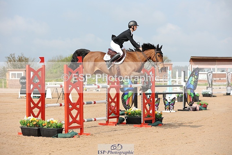 250424-101728-02936 - Cls 33 Young Horse 7yr old