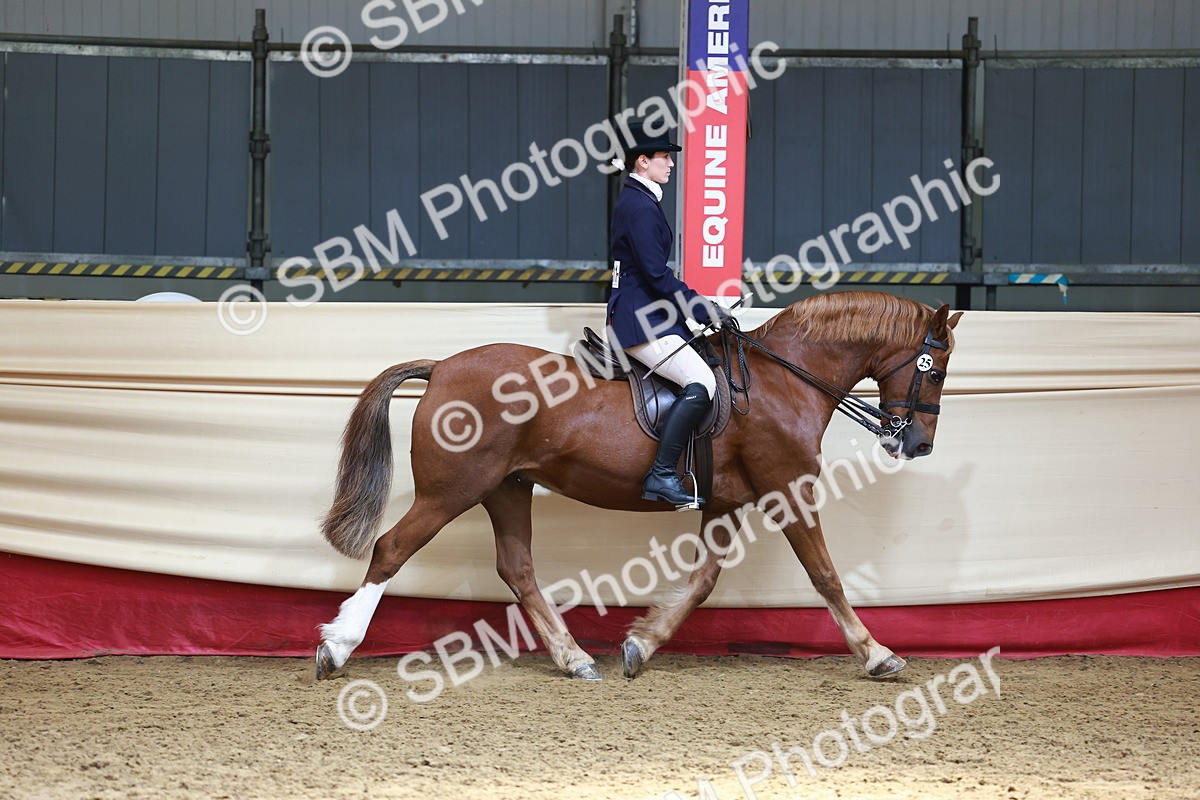 SBM_23100 - Class 904 - Supreme Final - Ridden Diamond