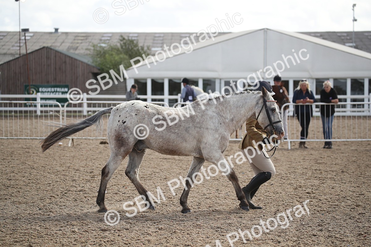 SBM_23433 - Class 604 - 2026 - Area IH Diamond