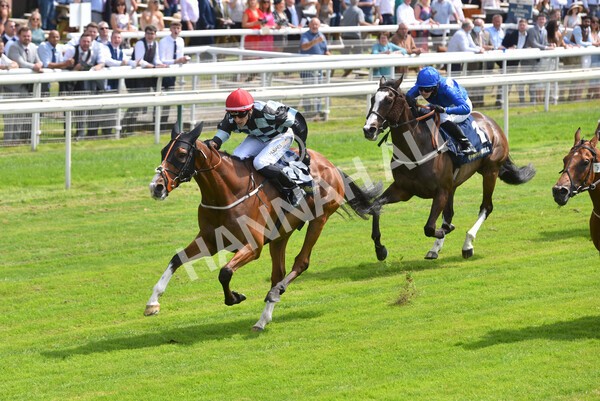 yr09072021r1-25 - Race 1: 2.05pm williamhill.com Best Odds Guaranteed Handicap Stakes