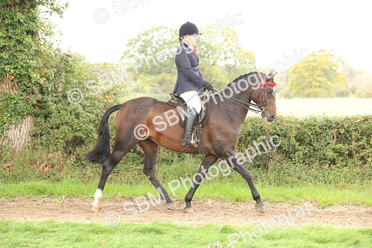 SBM_64157 - S65 - Riding Horse & Hack & Thoroughbred Ridden