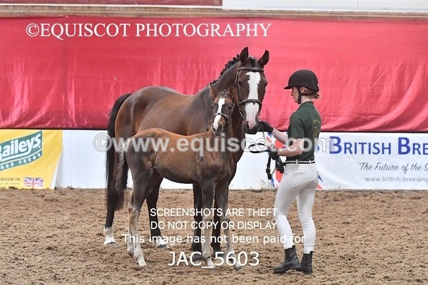 JAC_5603 - 13 Zi Real McCoy
