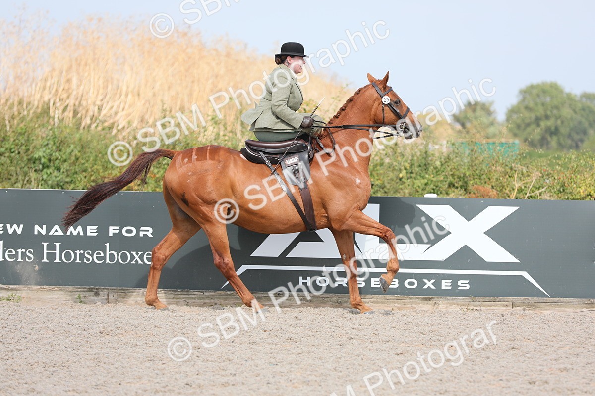 SBM_14528 - Class 211 Best Side Saddle Horse/Pony