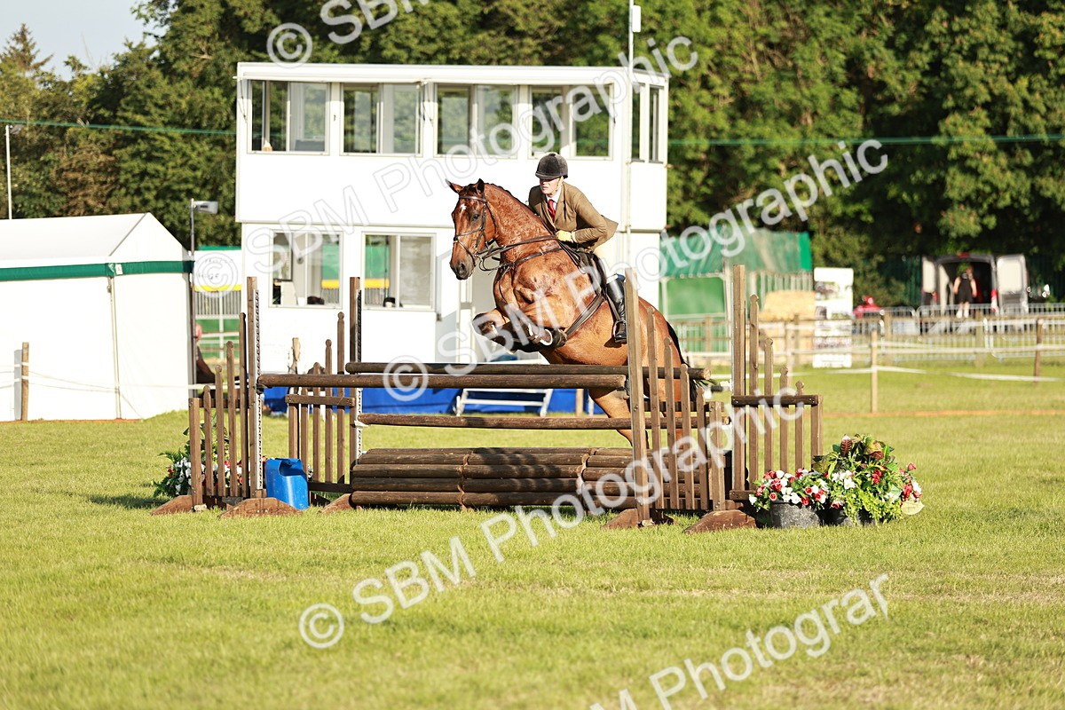 SBM_20388 - Class 117-119 - Sport Horse Working Hunter