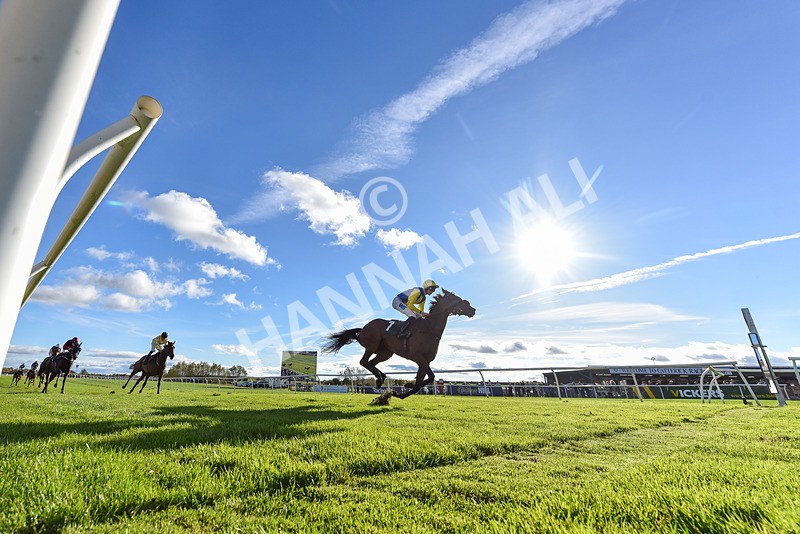 291024-Race 3-Kings Scholar-8636 - Race 3