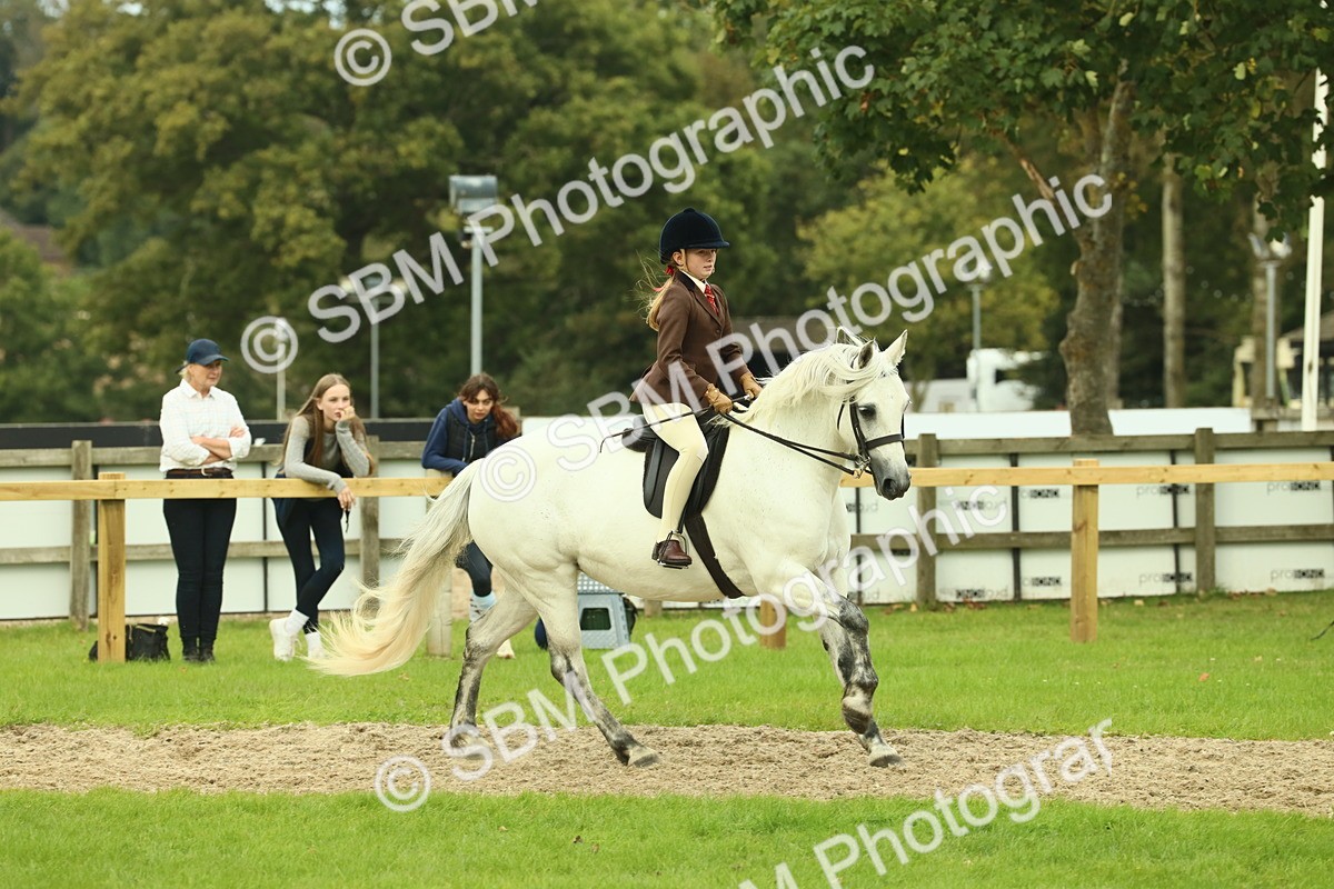 SBM_72020 - S60 - Mountain & Moorland Ridden Large Breeds