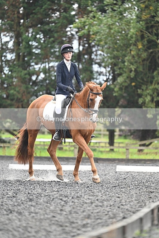 WJ7_6736 - Time 14:49 to 15:14