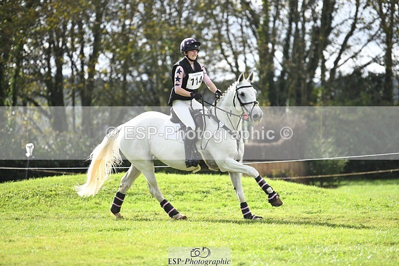 231020-140320-09643 - 114-LATINA'S.TWINKELING-Pippa.Haslam-XC